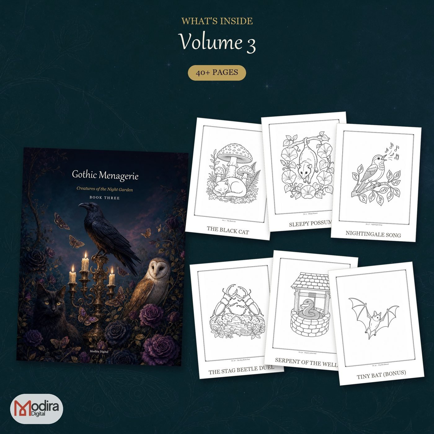 Board 05 — Board 05 theme grid vol3